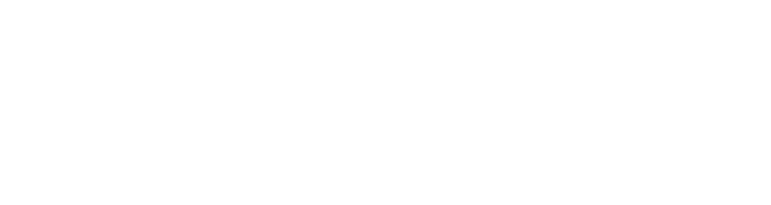 Logo Partybloom